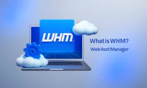 WHM چیست