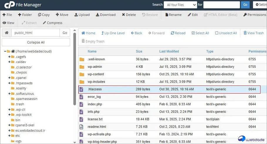 تغییر دامنه در وردپرس