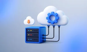 تفاوت VPS و هاست اشتراکی