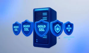 5 گزینه ی SSL