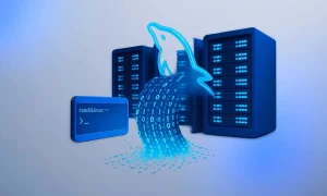 ریستور دیتابیس MySQL