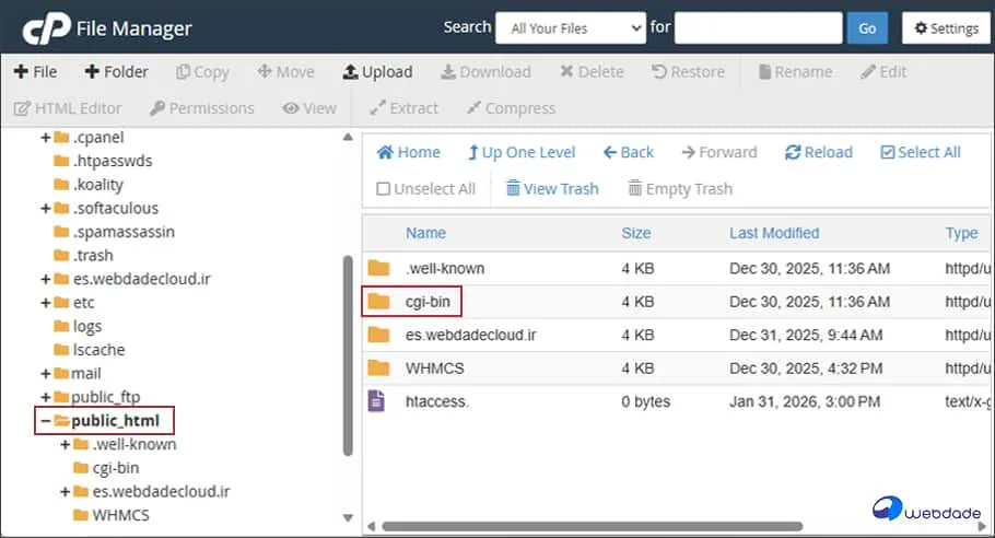 فعال کردن cgi