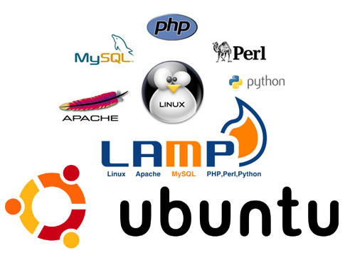 آموزش نصب MySQL و Apache و PHP یا LAMP روی سرور لینوکس