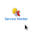 Service Monitor مدیریت Service Monitor در Directadmin